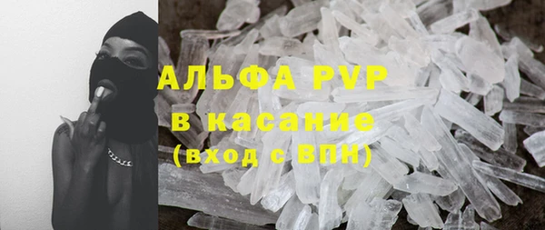 стаф Алзамай