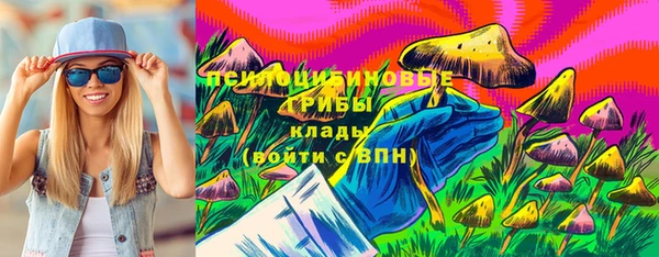 стаф Алзамай