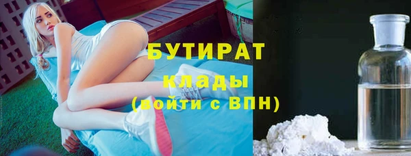 стаф Алзамай