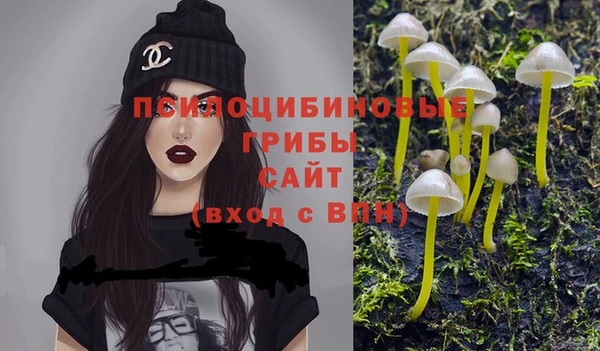крисы Алексеевка