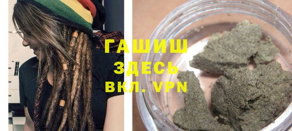 стаф Алзамай