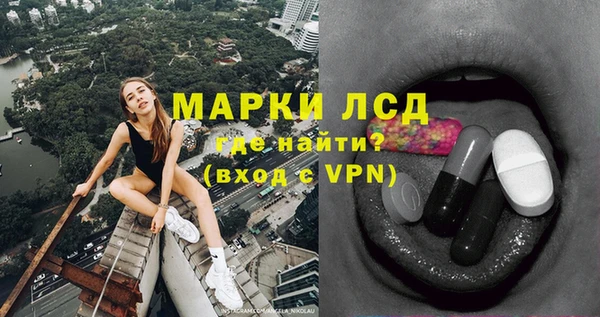 стаф Алзамай