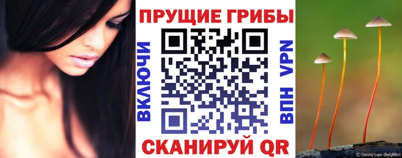 даркнет сайт  Алупка  Галлюциногенные грибы Cubensis 