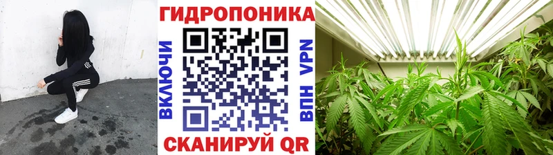 МАРИХУАНА семена  где продают   Алупка 